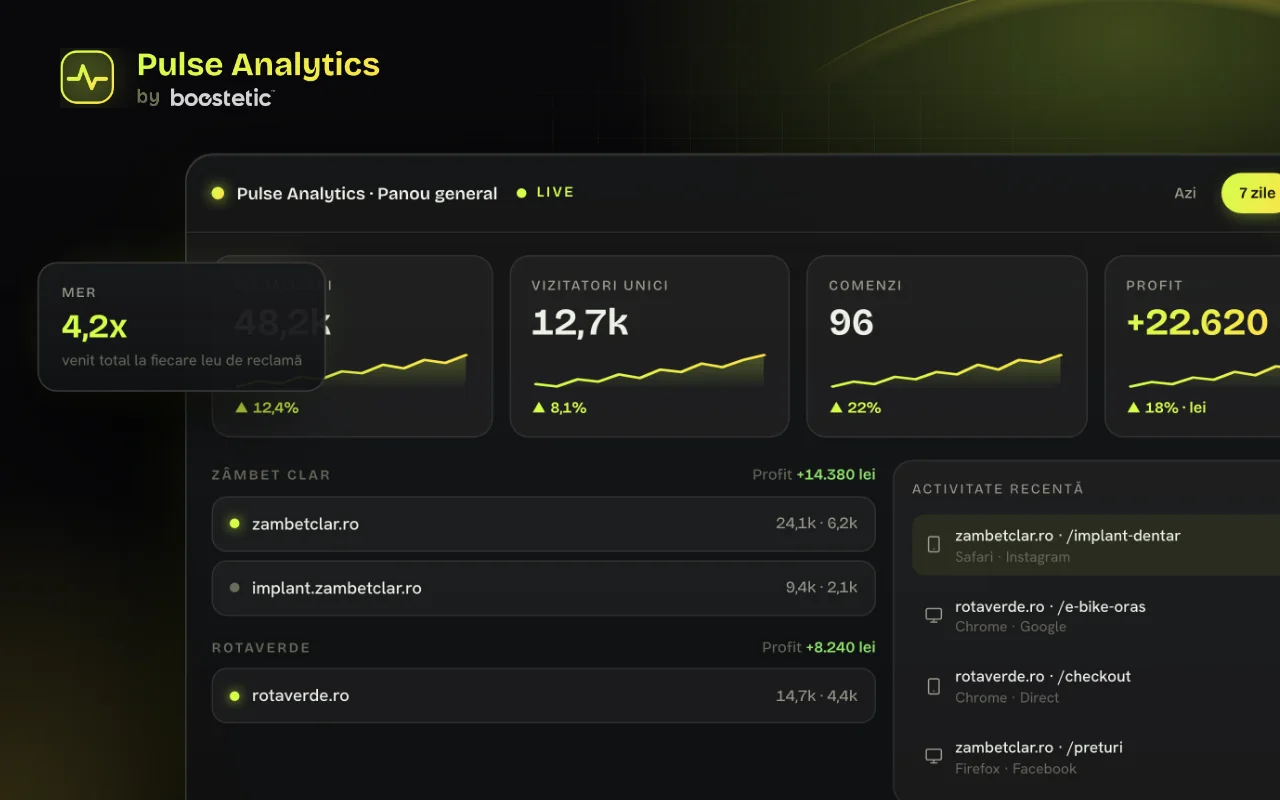 Panoul Pulse Analytics: vizitatori, comenzi și profit pe site (date de demonstrație)
